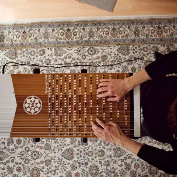 Harpejji (1)