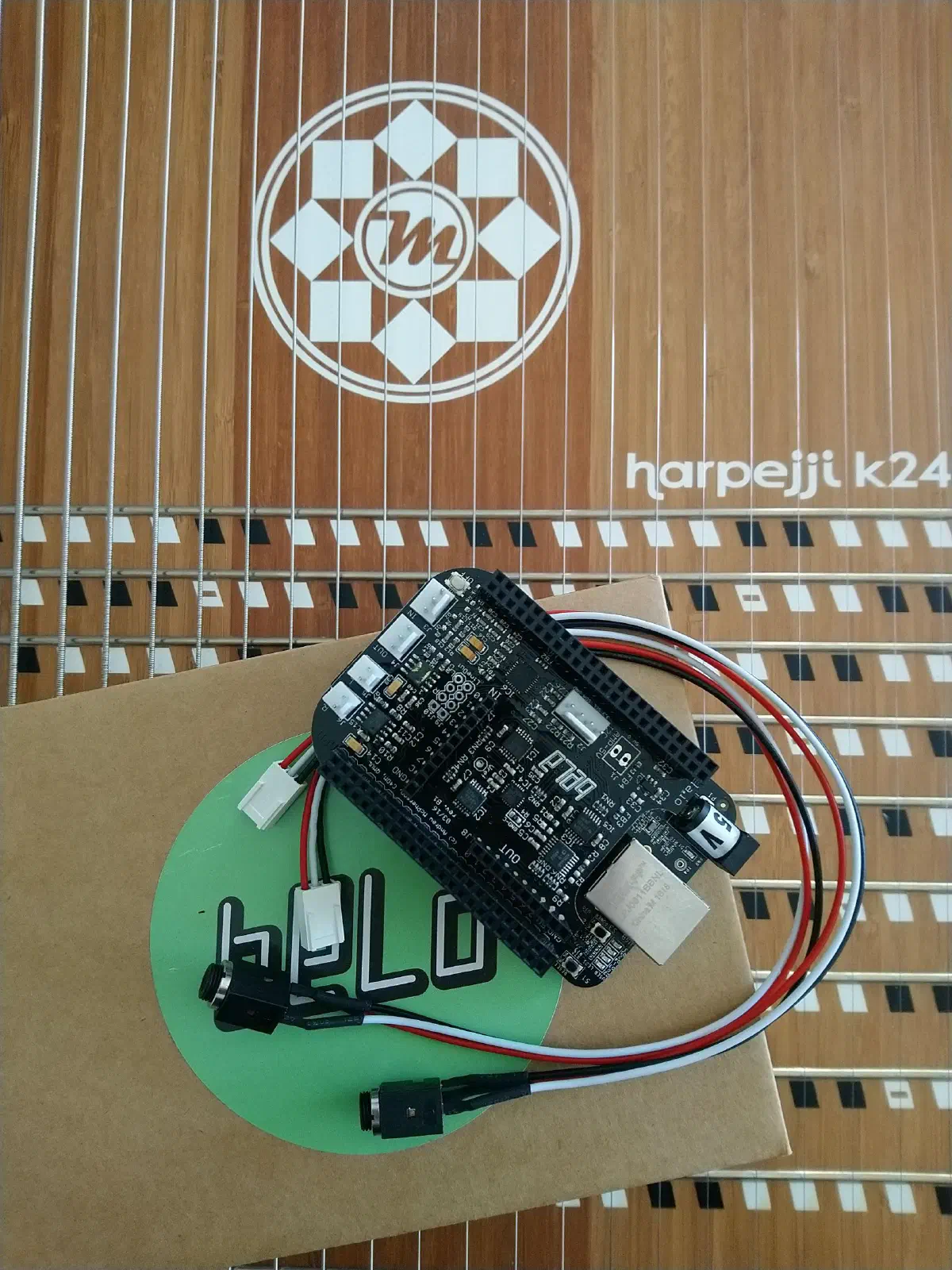 rpi and bela