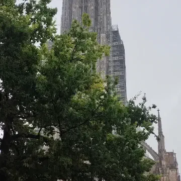 gallery-j5/j5-1.jpg