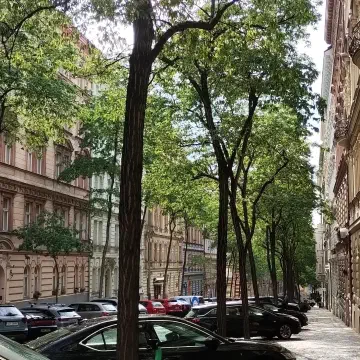 Prague2025-Jours9-13-23
