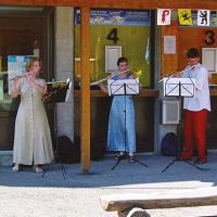 Flâneries musicales